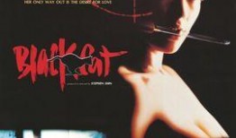 黑猫电影在线观看,在线观看，揭秘神秘悬疑世界