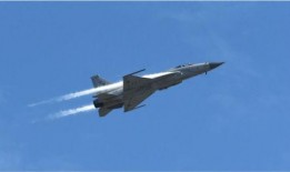 巴方飞行员爆料最新消息,揭秘最新军事冲突内幕